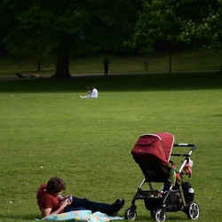 London/Forest Hill/DSC_0434.JPG